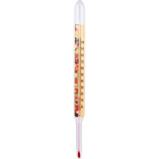 Θερμόμετρο για διατηρήματα (0°C έως +100°C) 22 cm