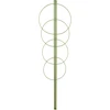 Δακτυλιοειδές στήριγμα φυτών, 4 δαχτυλίδια, 1 m - 13 