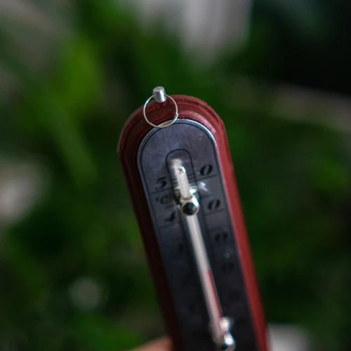 Θερμόμετρο δωματίου με ασημένια κλίμακα (-10°C έως +50°C) 16 cm ποικιλία - 5