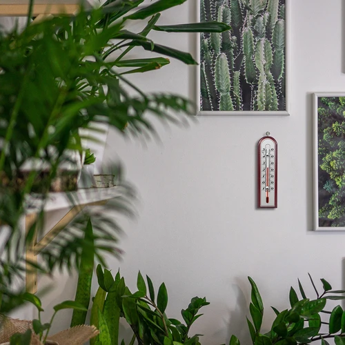 Θερμόμετρο δωματίου με ασημένια κλίμακα (-10°C έως +50°C) 16 cm ποικιλία - 6