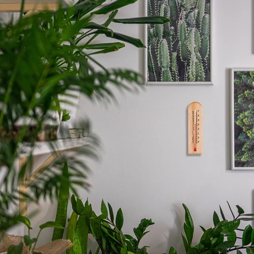Θερμόμετρο δωματίου με σχέδιο (-20°C έως +50°C) 15cm - 6