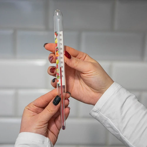 Θερμόμετρο για διατηρήματα (0°C έως +100°C) 22 cm - 5