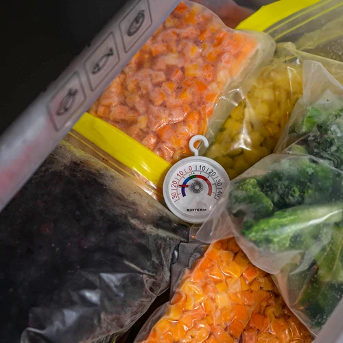 Θερμόμετρο για ψυγεία και καταψύκτες (-35°C έως +45°C) Ø 5cm - 5