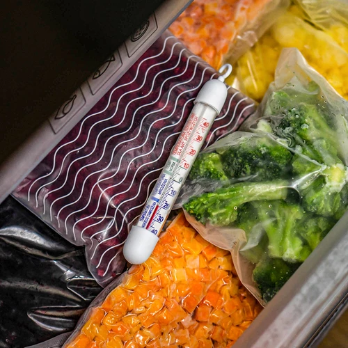 Θερμόμετρο για ψυγεία και καταψύκτες (-50°C έως +40°C) 17cm - 6