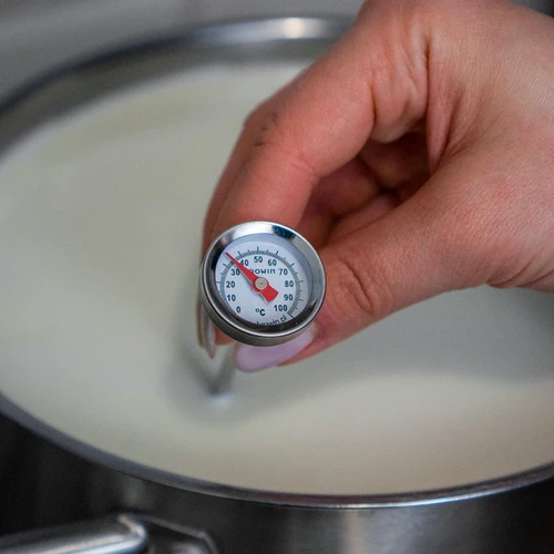 Θερμόμετρο κουζίνας (0°C έως +100°C) 12,3 cm - 5