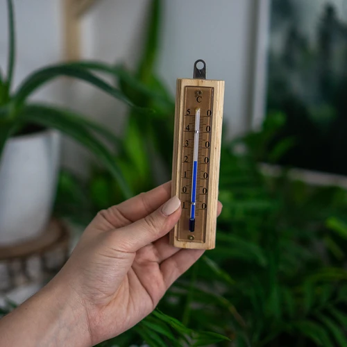 Θερμόμετρο χώρου με χρυσή κλίμακα (-10°C έως +50°C) 12cm - 5