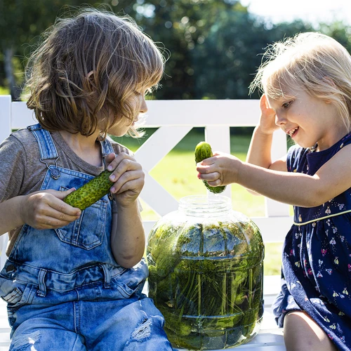 Άθραυστο βάζο για ζύμωση, 3 L - 7