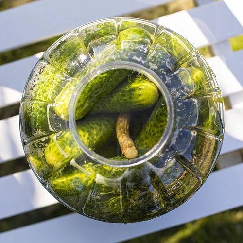 Άθραυστο, πολυλειτουργικό δοχείο ζύμωσης, 5 L - 5