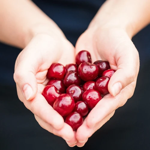 Αποκουκουτσωτής για βύσσινα και κεράσια - 11