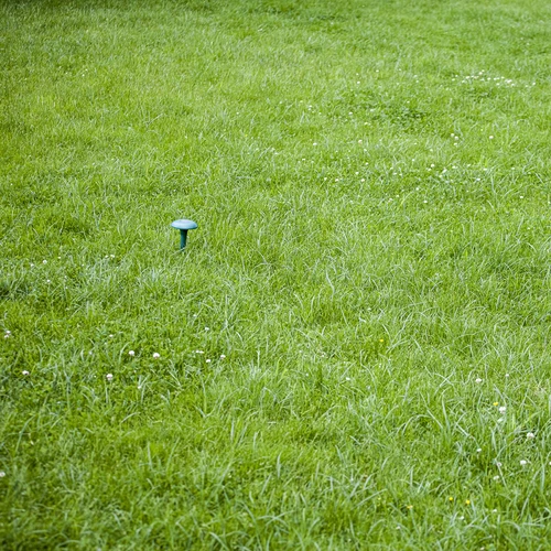 Απωθητική συσκευή για τυφλοπόντικες με ηλιακή τροφοδοσία - 10