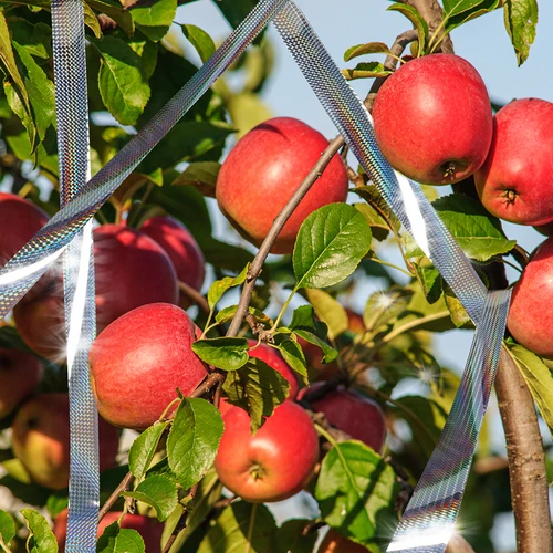 Απωθητικό πουλιών - ανακλαστική ταινία, 80 m - 10