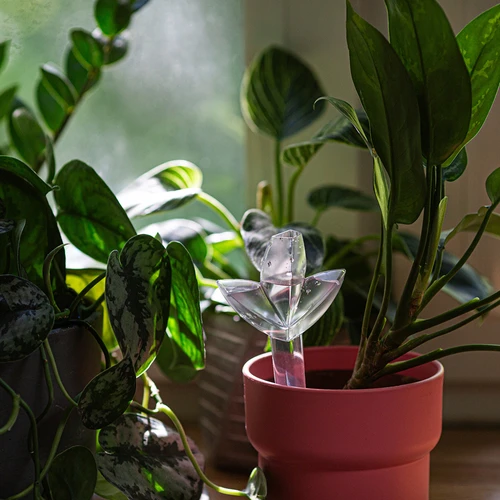 Αυτοποτιστήρι για φυτά – διάφανο φύλλο με κεραμική ακίδα, 120 ml - 9