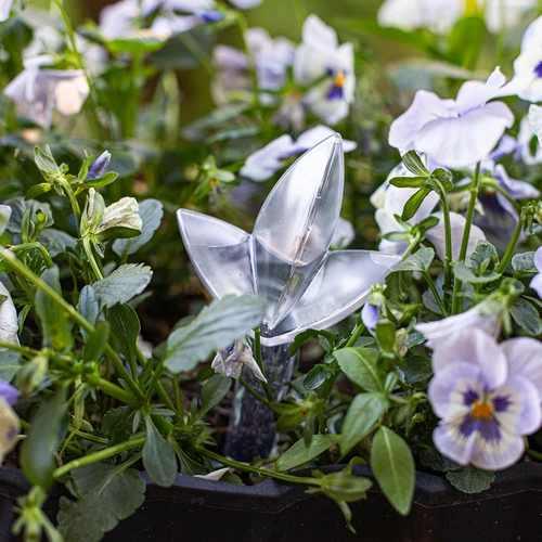 Αυτοποτιστής για φυτά – διαφανές φύλλο, 120 ml - 8