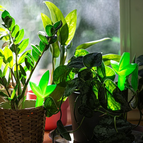 Αυτοποτιστής για φυτά – πράσινο φύλλο, 120 ml - 7