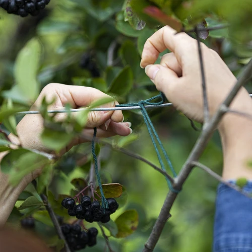 Βαμβακερός σπάγγος πράσινος 2 mm/55 m/100 g - 7