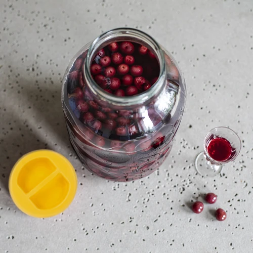 Βάζο TO 5 L και βιδωτό καπάκι από πλαστικό fi 100, με λαβή - 6