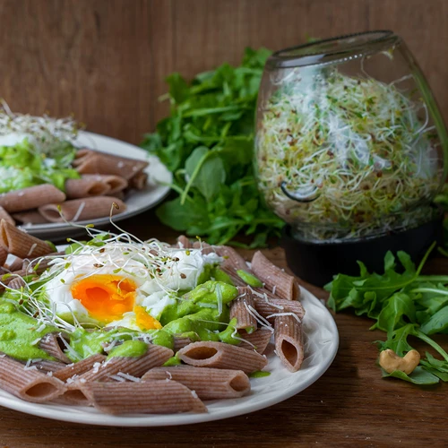 Βλαστητήρας σε βάζο Twist-off + 5 συσκευασίες σπόρων - 15