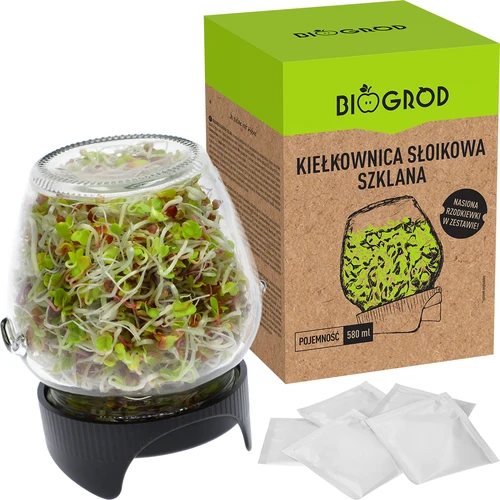 Βλαστητήρας σε βάζο Twist-off + 5 συσκευασίες σπόρων - 5