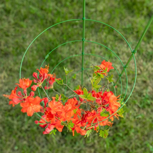 Δακτυλιοειδές στήριγμα φυτών, 4 δαχτυλίδια, 1 m - 5