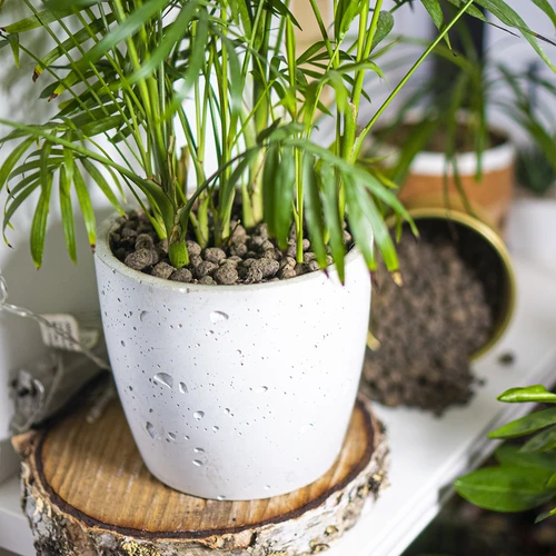 Διογκωμένη άργιλος για φυτά σε γλάστρες, κηπουρική και δάση σε γυαλί, 4–10 mm, 2 L - 9