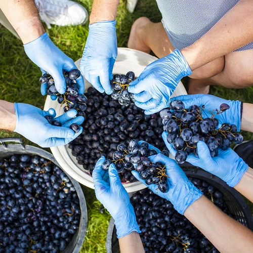 Δοχείο ζύμωσης 30 L με καπάκι - 17