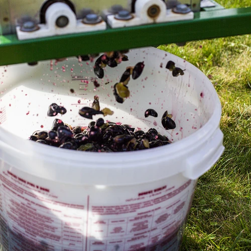 Δοχείο ζύμωσης 30 L με καπάκι - 18