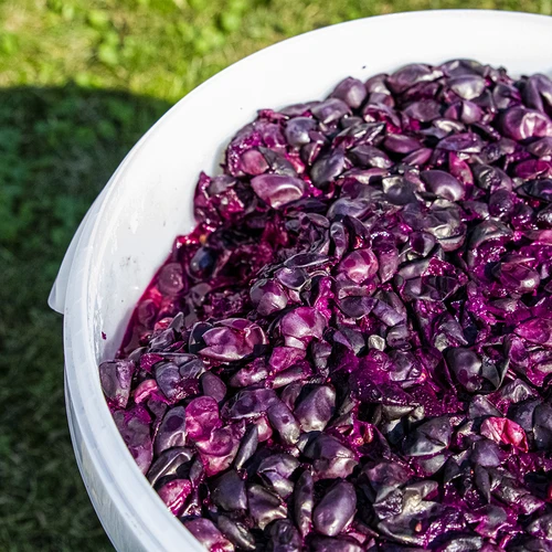 Δοχείο ζύμωσης 30 L με καπάκι - 12