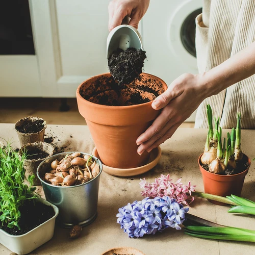 Ενεργός άνθρακας καρύδας για φυτά 0,9 L - 7