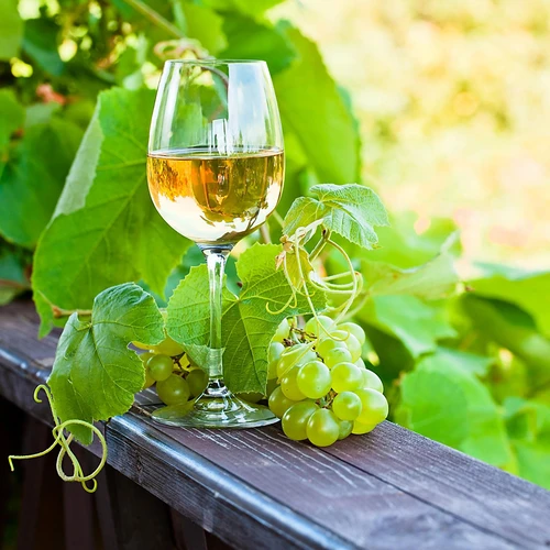 Enovini® OK WHITE - οινικές ζύμες που μειώνουν την οξύτητα 7 g - 10