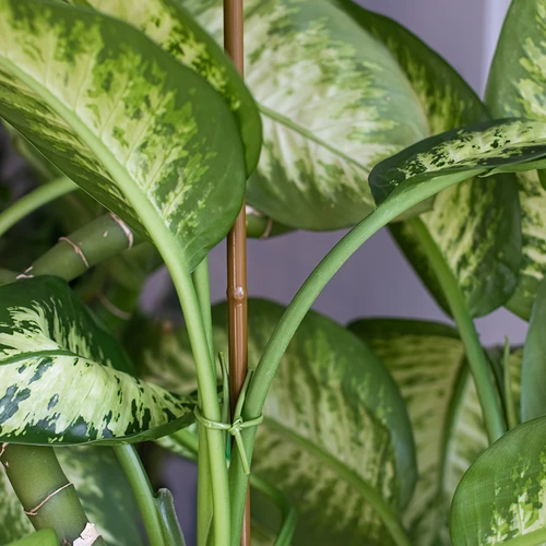 Επικαλυμμένος χαλύβδινος πάσσαλος σε σχήμα μπαμπού, 150 cm x 11mm - 4