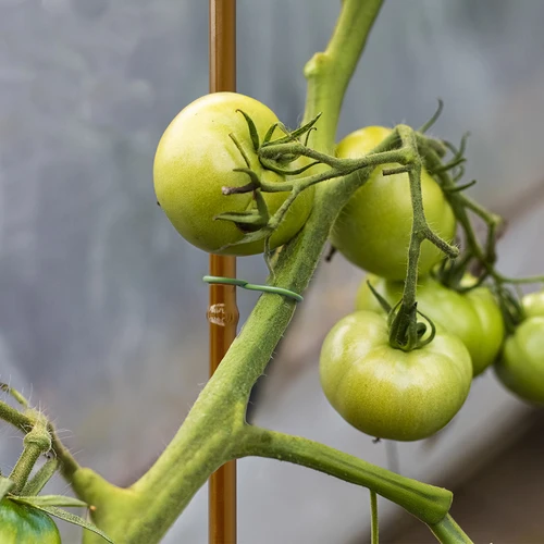 Επικαλυμμένος χαλύβδινος πάσσαλος σε σχήμα μπαμπού, 150 cm x 11mm - 5