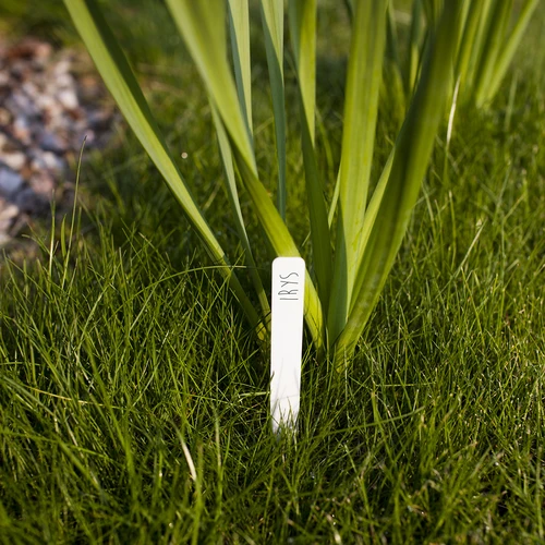 Ετικέτες για επισήμανση φυτών + μολύβι mix 10+20 τεμ. - 7