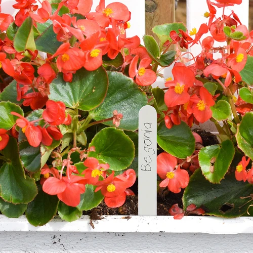 Ετικέτες για επισήμανση φυτών + μολύβι mix 10+20 τεμ. - 8