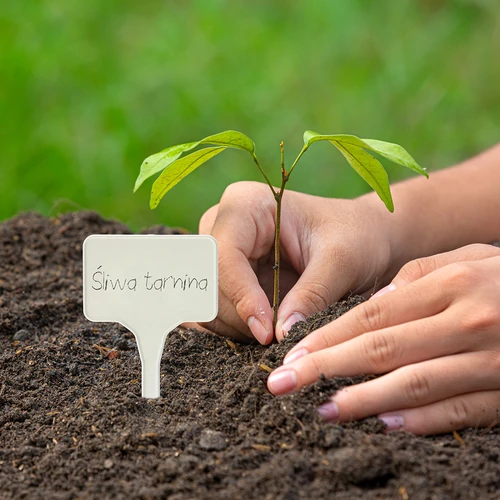 Ετικέτες για επισήμανση φυτών + μολύβι mix 10+20 τεμ. - 10