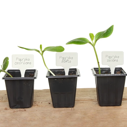 Ετικέτες για επισήμανση φυτών + μολύβι mix 10+20 τεμ. - 12