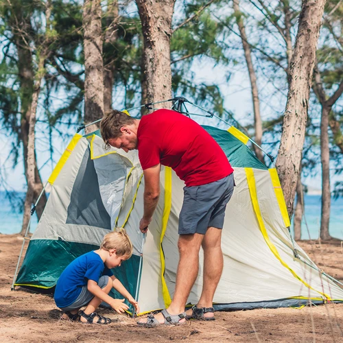 Ευθείς πάσσαλοι σκηνής - 10 τεμ. - 8