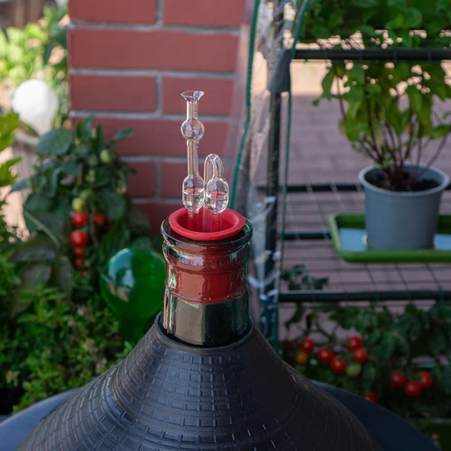 Γυάλινο υδατόκλειστρο ζύμωσης, συσκευασία 2 τεμαχίων - 5