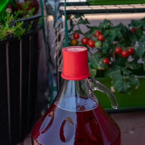 Κάλυπτρα-πώμα για νταμιτζάνες και γυάλινα μπαλόνια – ø 45 mm - 3