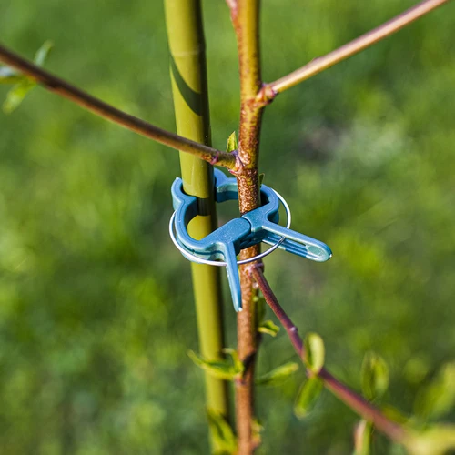 Κλιπ για δέσιμο φυτών 20 τεμ. (8x μεγάλα/12x μικρά) - 7