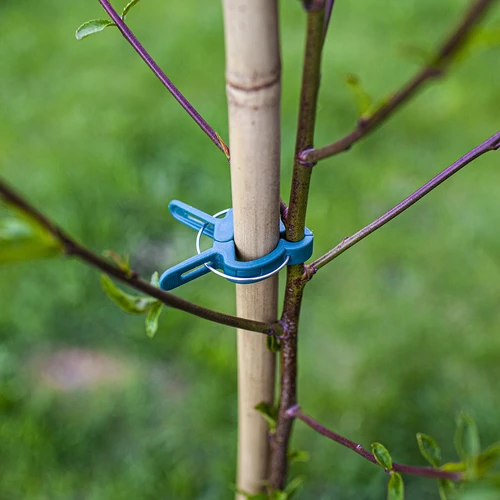 Κλιπ για δέσιμο φυτών 20 τεμ. (8x μεγάλα/12x μικρά) - 8