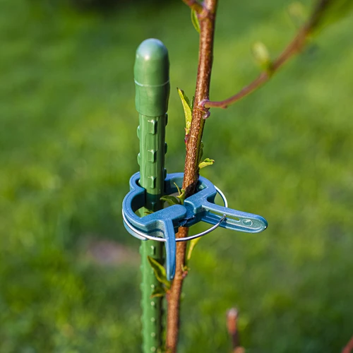 Κλιπ για δέσιμο φυτών 20 τεμ. (8x μεγάλα/12x μικρά) - 9