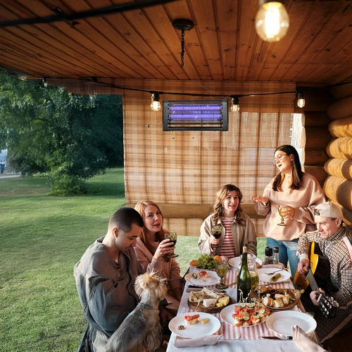 Λάμπα εξόντωσης εντόμων UVA 20 W, μαύρη - 9