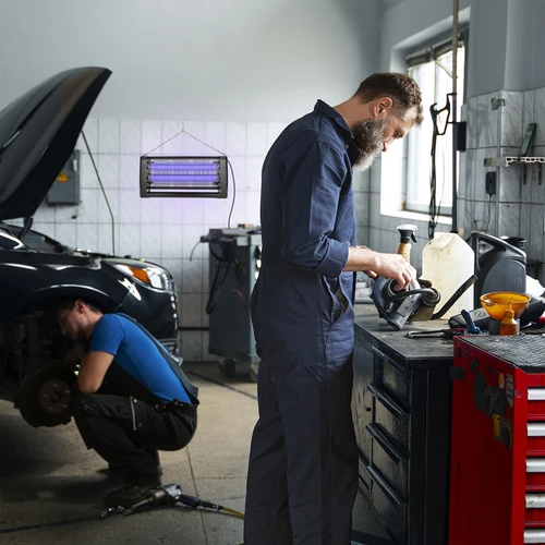 Λάμπα εξόντωσης εντόμων UVA 20 W, μαύρη - 11