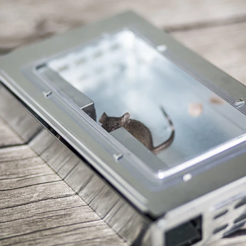 Μεταλλική παγίδα για ποντίκια - ζωντανή παγίδα - 8