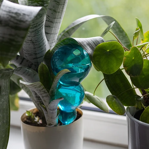 Μπάλα ποτίσματος τριπλή (τριών θαλάμων), διάφανη, μπλε, 600 ml - 6