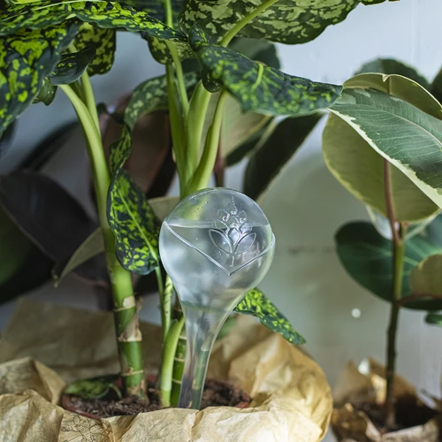 Μπάλες ποτίσματος για φυτά, διαφανείς, 400 ml, 2 τεμ. - 11