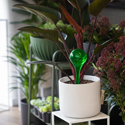 Μπάλες ποτίσματος για φυτά, διάφανες πράσινες, 400 ml, 4 τεμ. - 9