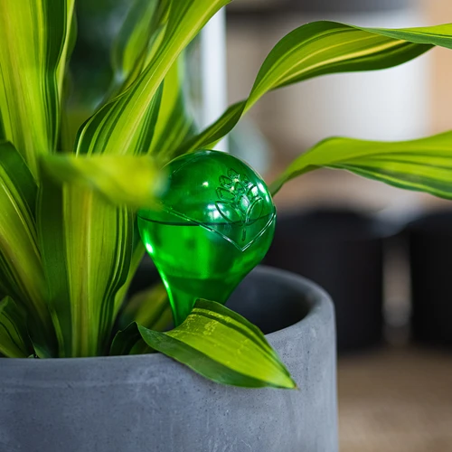 Μπάλες ποτίσματος για φυτά, διάφανες πράσινες, 400 ml, 4 τεμ. - 10