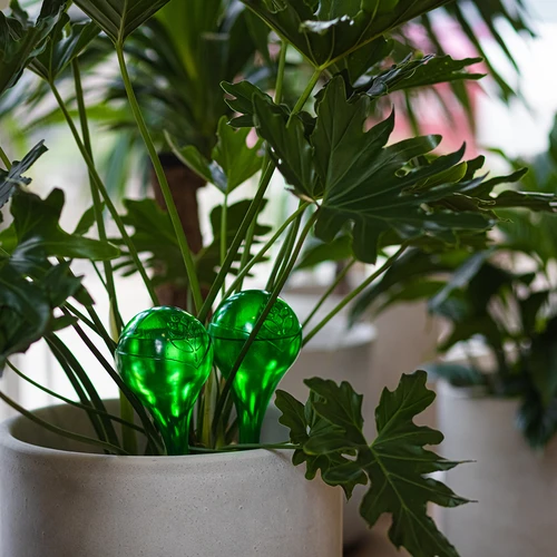 Μπάλες ποτίσματος για φυτά, διάφανες πράσινες, 400 ml, 4 τεμ. - 12