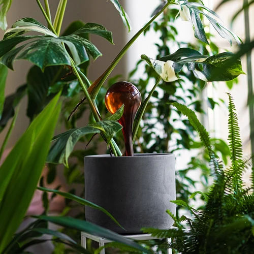 Μπάλες ποτίσματος για φυτά, κεχριμπαρένιες διάφανες, 400 ml, 2 τεμ. - 10